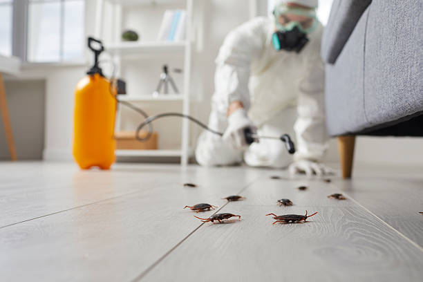 Affordable Cockroach Control solutions in Coker, AL